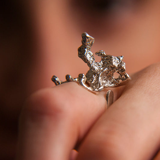 Anillo Palmerae
