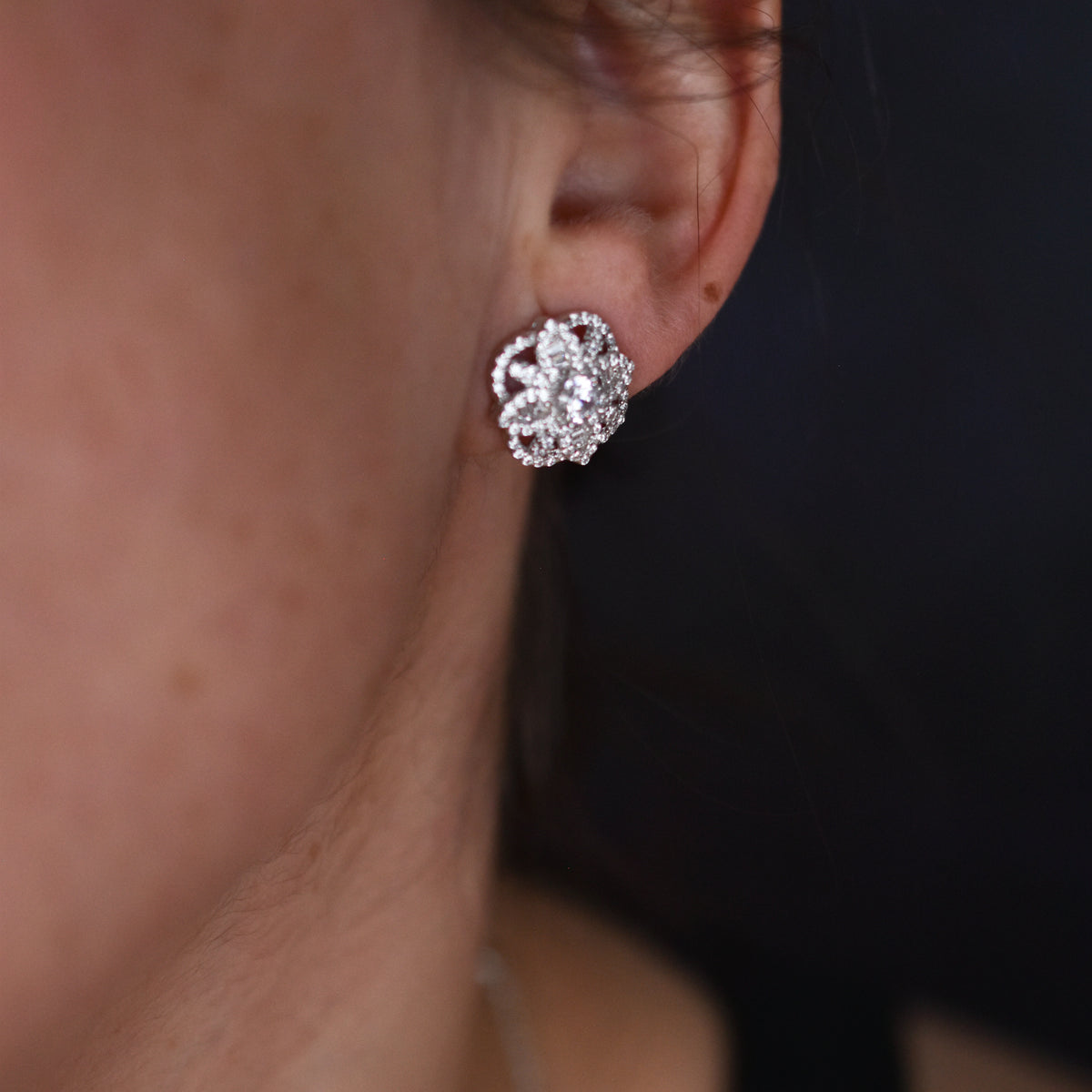 Aros Zircon